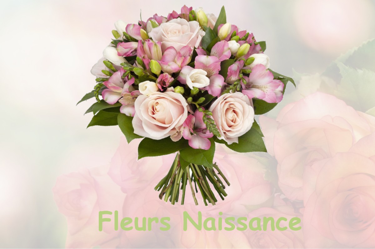 fleurs naissance MAISONS-ALFORT