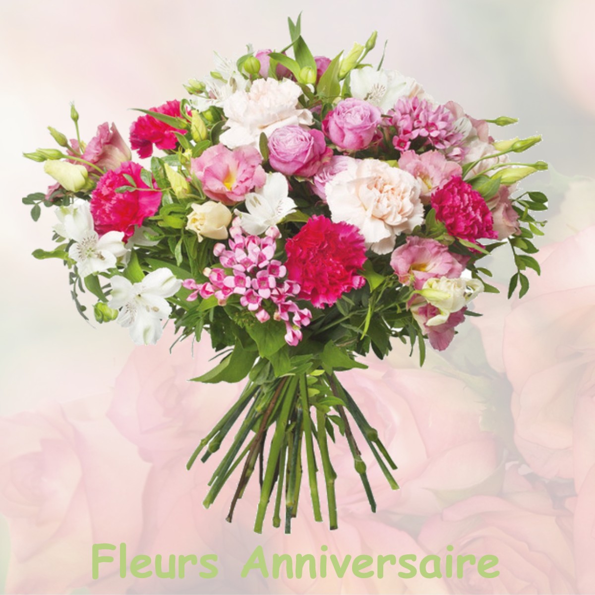 fleurs anniversaire MAISONS-ALFORT